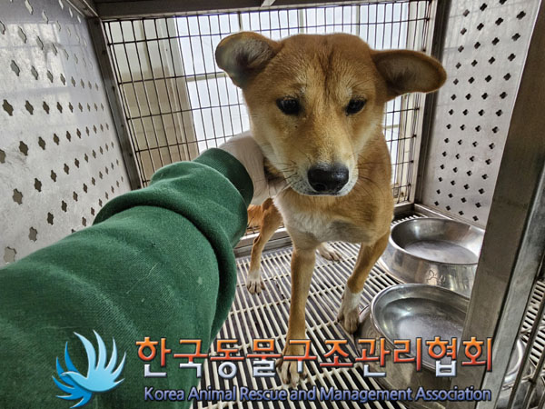 한국동물구조관리협회_441409202301820